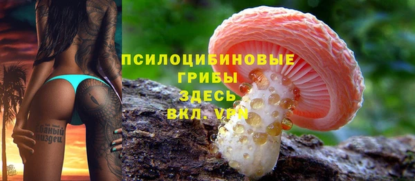 твердый Арсеньев