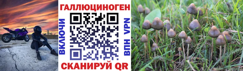 Псилоцибиновые грибы GOLDEN TEACHER  Нововоронеж 